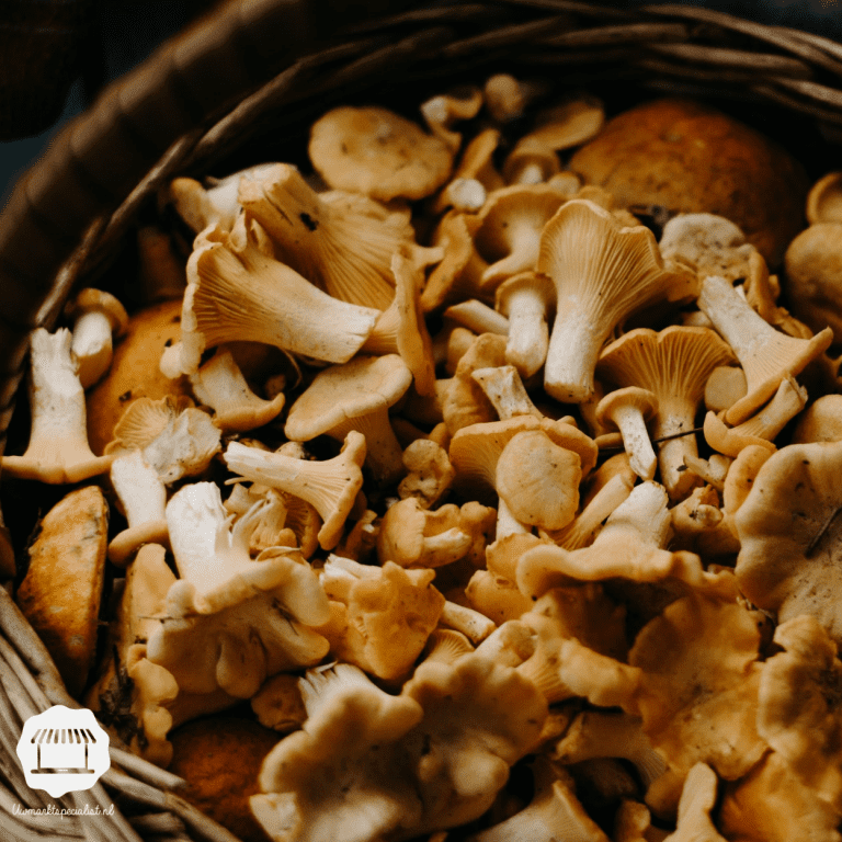 5 Eetbare paddenstoelen van de markt