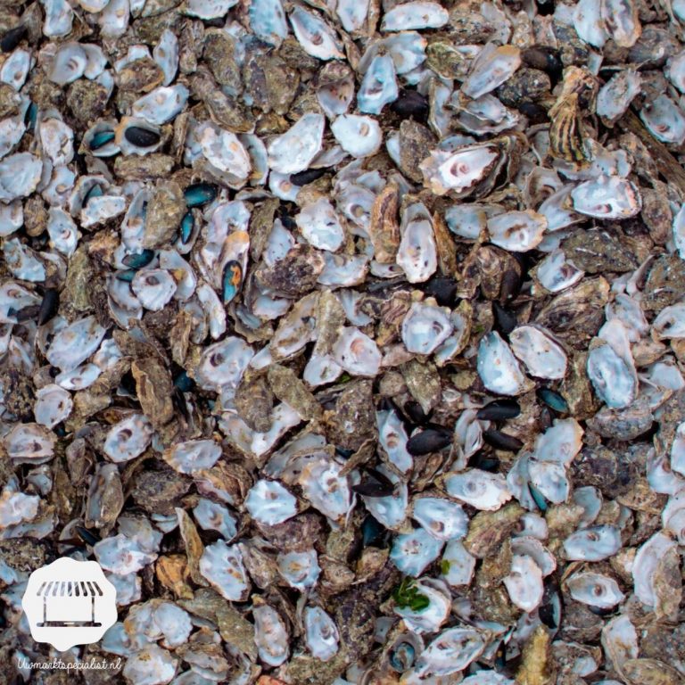 Het oesterseizoen | Alles over oesters