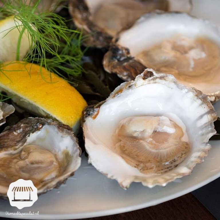 Zeeuwse platte oester