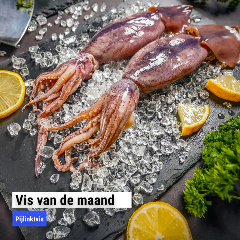 Vis van de maand november: Pijlinktvis